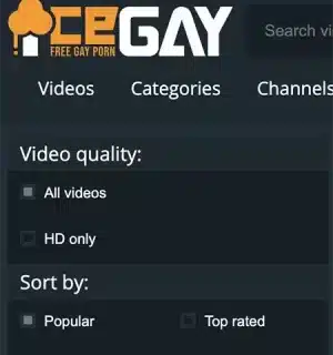 IceGay