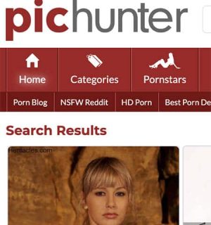PicHunter