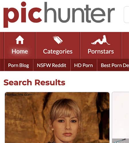 PicHunter