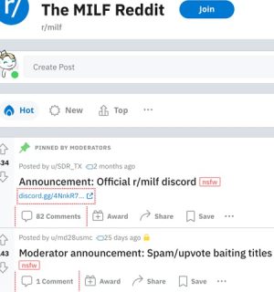 TheMILF