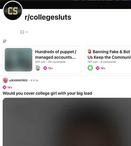 CollegeSluts