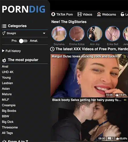 PornDig