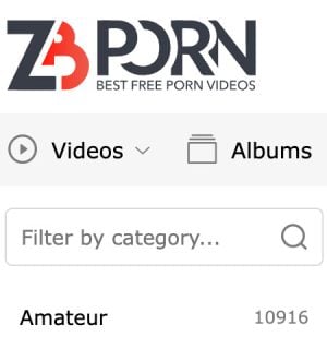 ZBPorn
